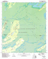 1994 Topo Map of Billys Island Georgia Quadrangle Okefenokee Swamp