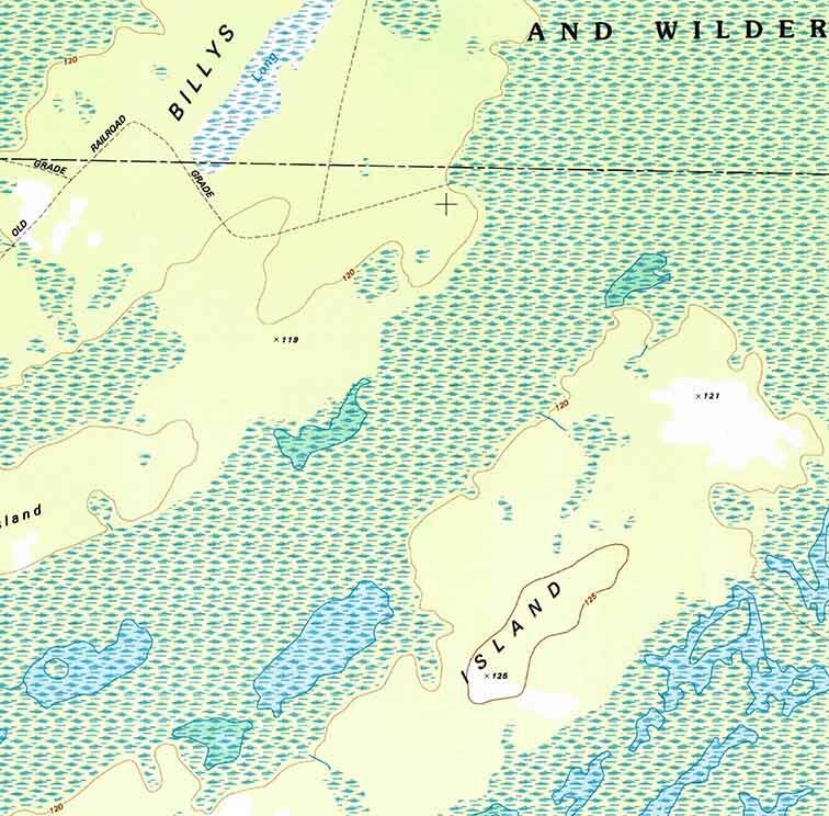 1994 Topo Map of Billys Island Georgia Quadrangle Okefenokee Swamp