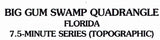 2005 Topo Map of Big Gum Swamp Florida Quadrangle Osceola National Forest