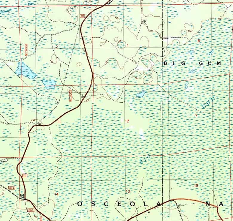 2005 Topo Map of Big Gum Swamp Florida Quadrangle Osceola National Forest