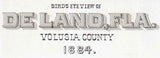1884 Panoramic Map of De Land Volusia County Florida