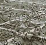 1884 Panoramic Map of De Land Volusia County Florida