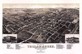 1885 Panoramic Map of Tallahassee Florida