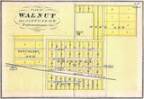 1875 Map of Walnut Pottawattamie County Iowa