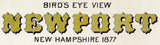 1877 Panoramic Map of Newport New Hampshire