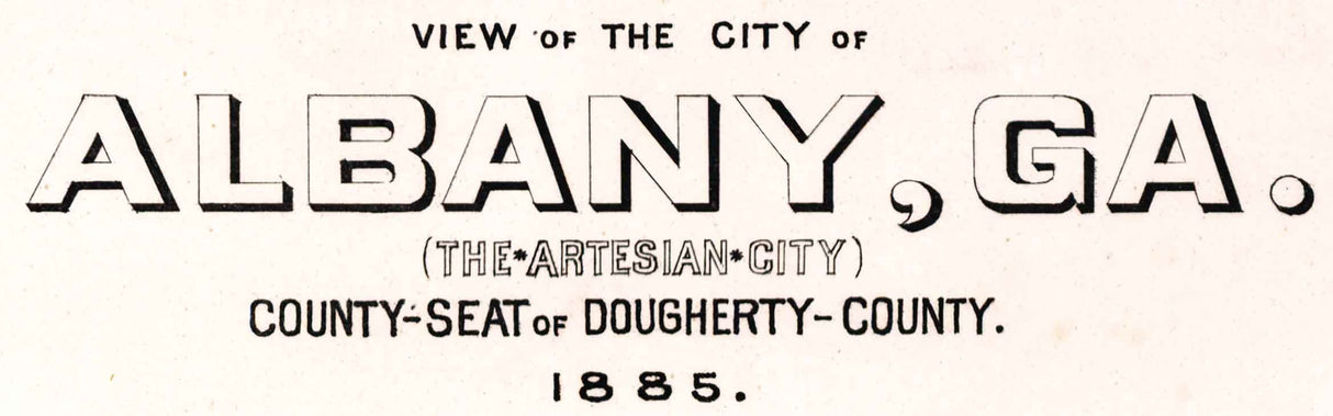 1885 Panoramic Map of Albany Georgia Dougherty County