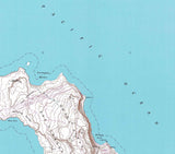 1943 Topo Map of San Clemente Island North California