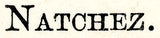 1885 Map of Natchez Mississippi