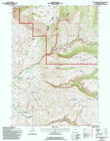 1993 Topo Map of Black Mountain Wyoming WY Bighorn Forest