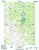 1993 Topo Map of Dome Lake Wyoming WY Bighorn Forest