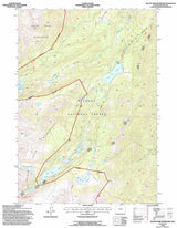 1993 Topo Map of Willow Park Reservoir Wyoming WY Bighorn Forest