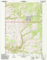 1993 Topo Map of Onion Gulch Wyoming WY Bighorn Forest