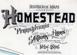 1896 Town Map of Homestead Allegheny County Pennsylvania