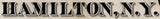 1885 Panoramic Map of Hamilton New York