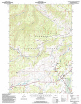 1993 Topo Map of Burgess Junction Wyoming WY Bighorn Forest