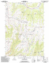 1993 Topo Map of Hidden Tepee Creek Wyoming WY Bighorn Forest