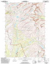 1993 Topo Map of Lake Helen Wyoming WY Bighorn Forest