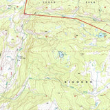 1993 Topo Map of Lake Solitude Wyoming WY Bighorn Forest