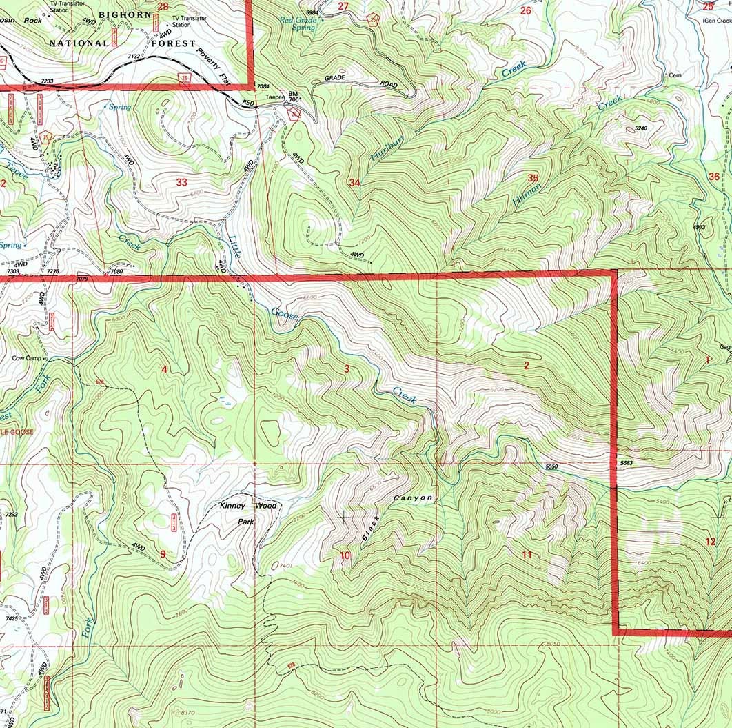 1993 Topo Map of Little Goose Peak Wyoming WY Bighorn Forest