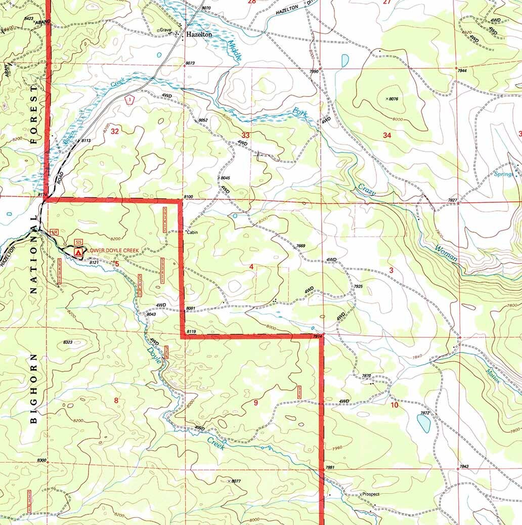 1993 Topo Map of Hazelton Wyoming WY Bighorn Forest