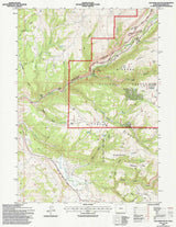 1993 Topo Map of Old Maid Gulch Wyoming WY Bighorn Forest