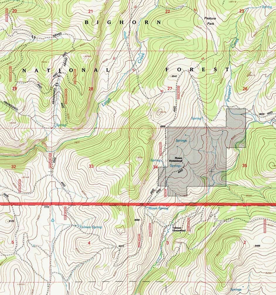 1993 Topo Map of Onion Gulch Wyoming WY Bighorn Forest