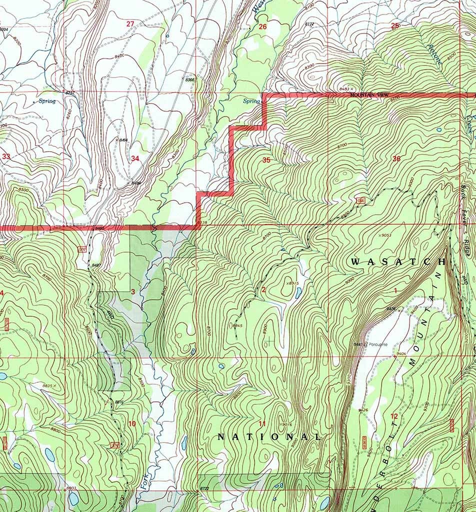 1998 Topo Map of Buck Fever Ridge Wyoming WY Wasatch Forest