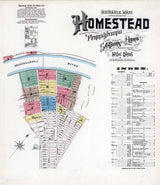 1896 Town Map of Homestead Allegheny County Pennsylvania