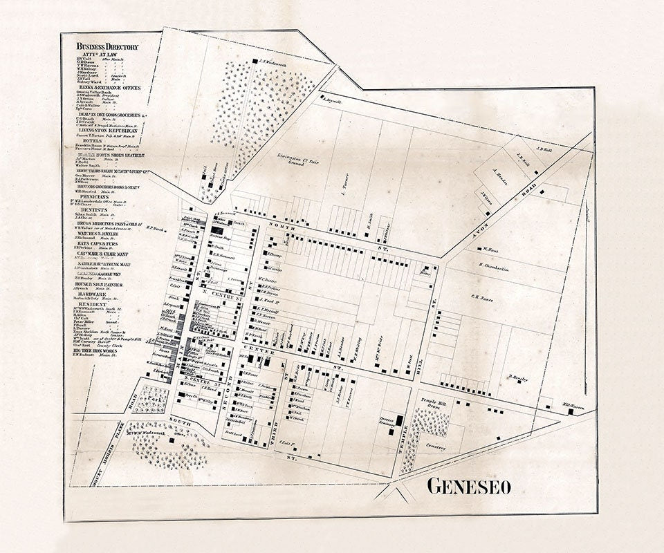 1858 Town Map of Geneseo Livingston County New York