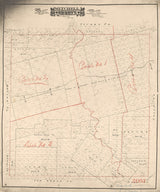 1889 Farm Line Map of Mitchell County Texas