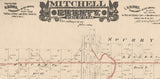 1889 Farm Line Map of Mitchell County Texas