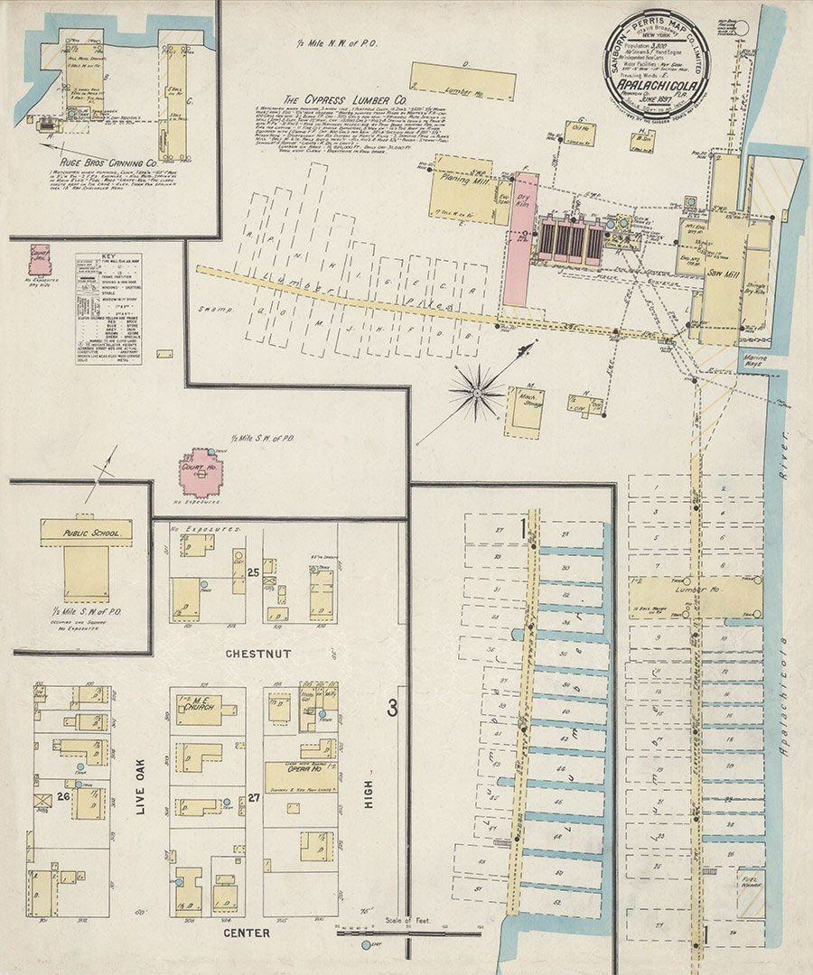 1897 Town Map of Apalachicola Franklin County Florida