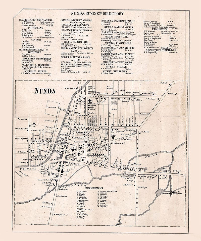 1858 Town Map of Nunda Livingston County New York