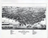 1884 Panoramic Map of Palatka Putnam County Florida