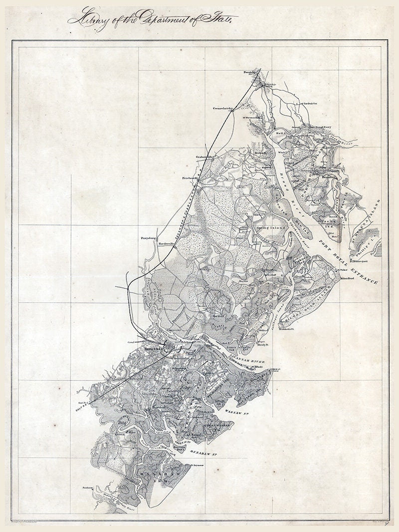 1860s Map of Savannah Georgia and Environs