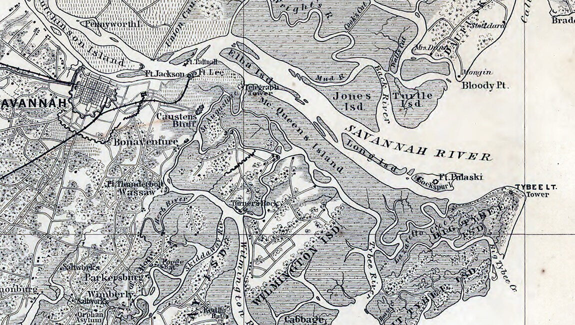 1860s Map of Savannah Georgia and Environs