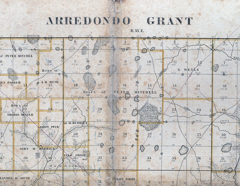 1846 Map of Gainesville Florida Previously the Arredondo Grant