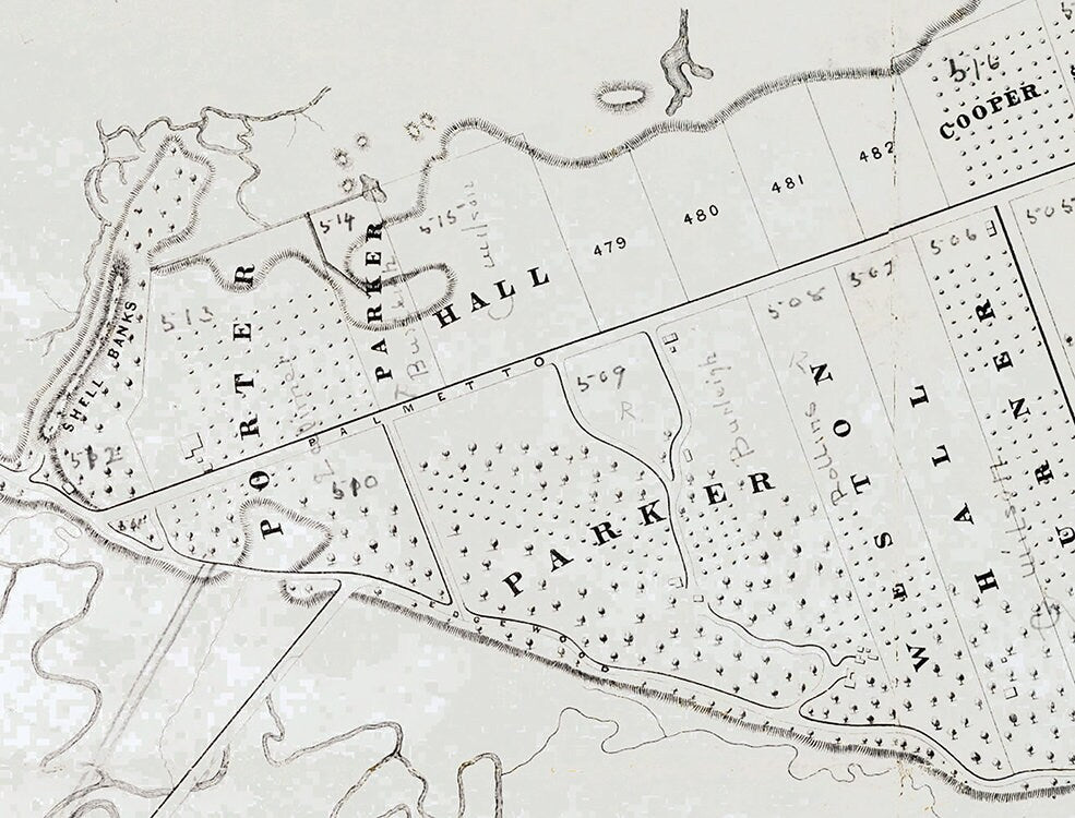 1878 Map of Fort George Island Florida