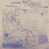 Carthage Alabama Farm Line Map