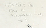 1889 Map of Taylor County West Virginia