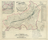 1890 Map of Roanoke Virginia