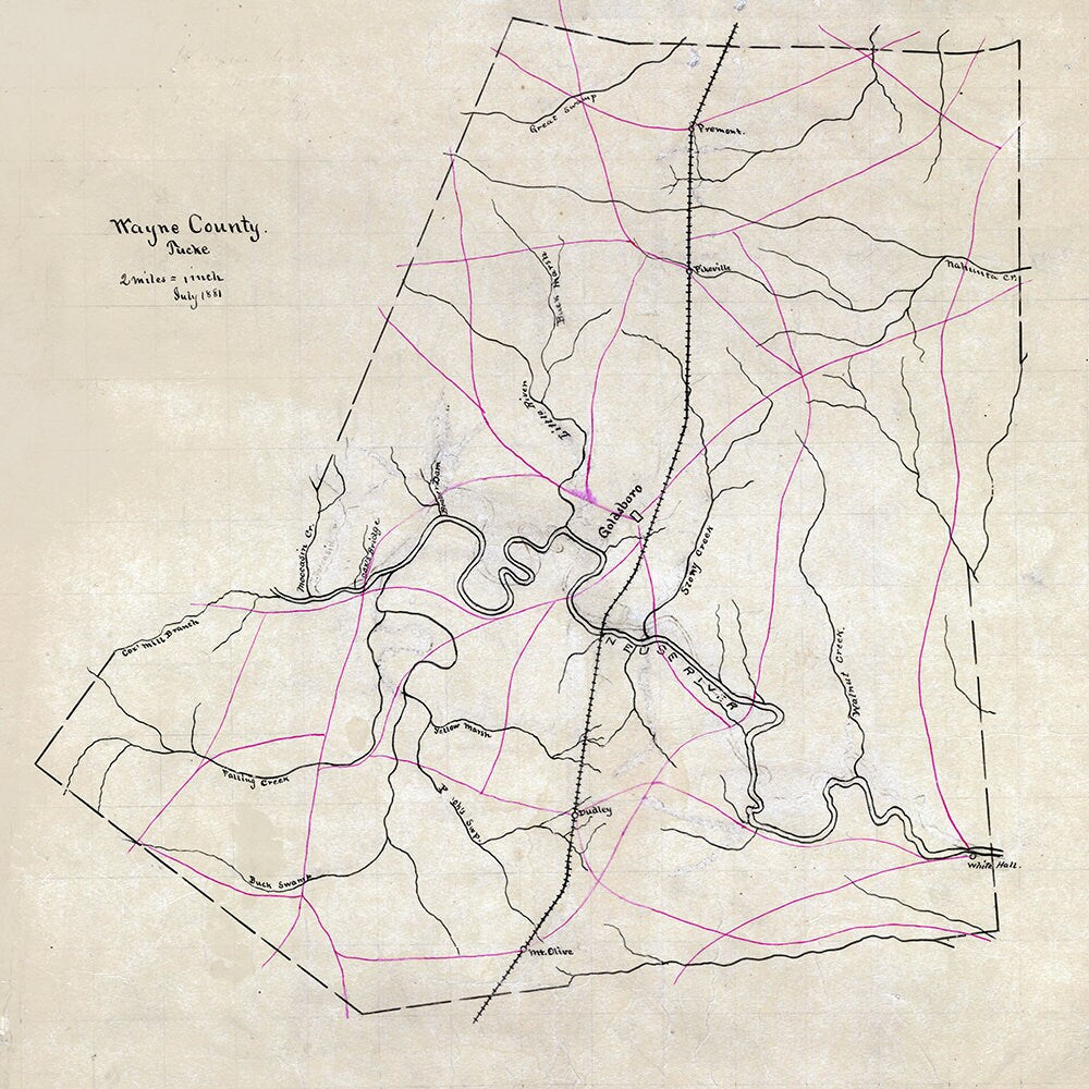 1881 Map of Wayne County North Carolina