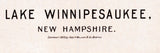 1903 Panoramic Map of Lake Winnipesaukee New Hampshire