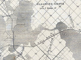1855 Map of Madison and the Four Lake Country Dane County Wisconsin