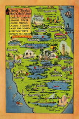 1960 Cartoon Map of Florida