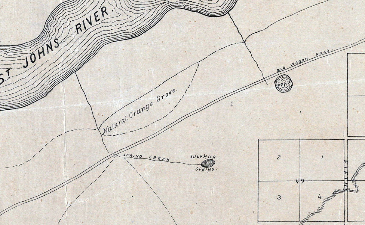 1882 Map of Satsuma Putnam County Florida Saint Johns River