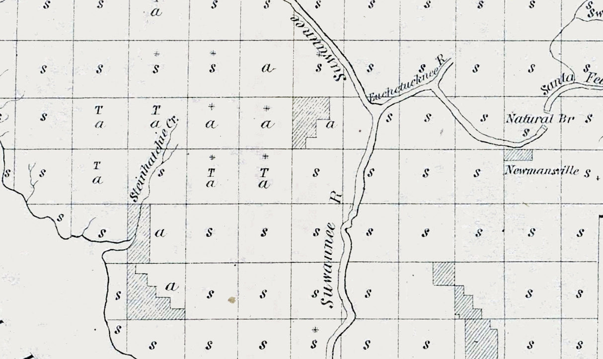 1850 Map of Middle Florida