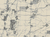1865 Map of Dallas County Arkansas