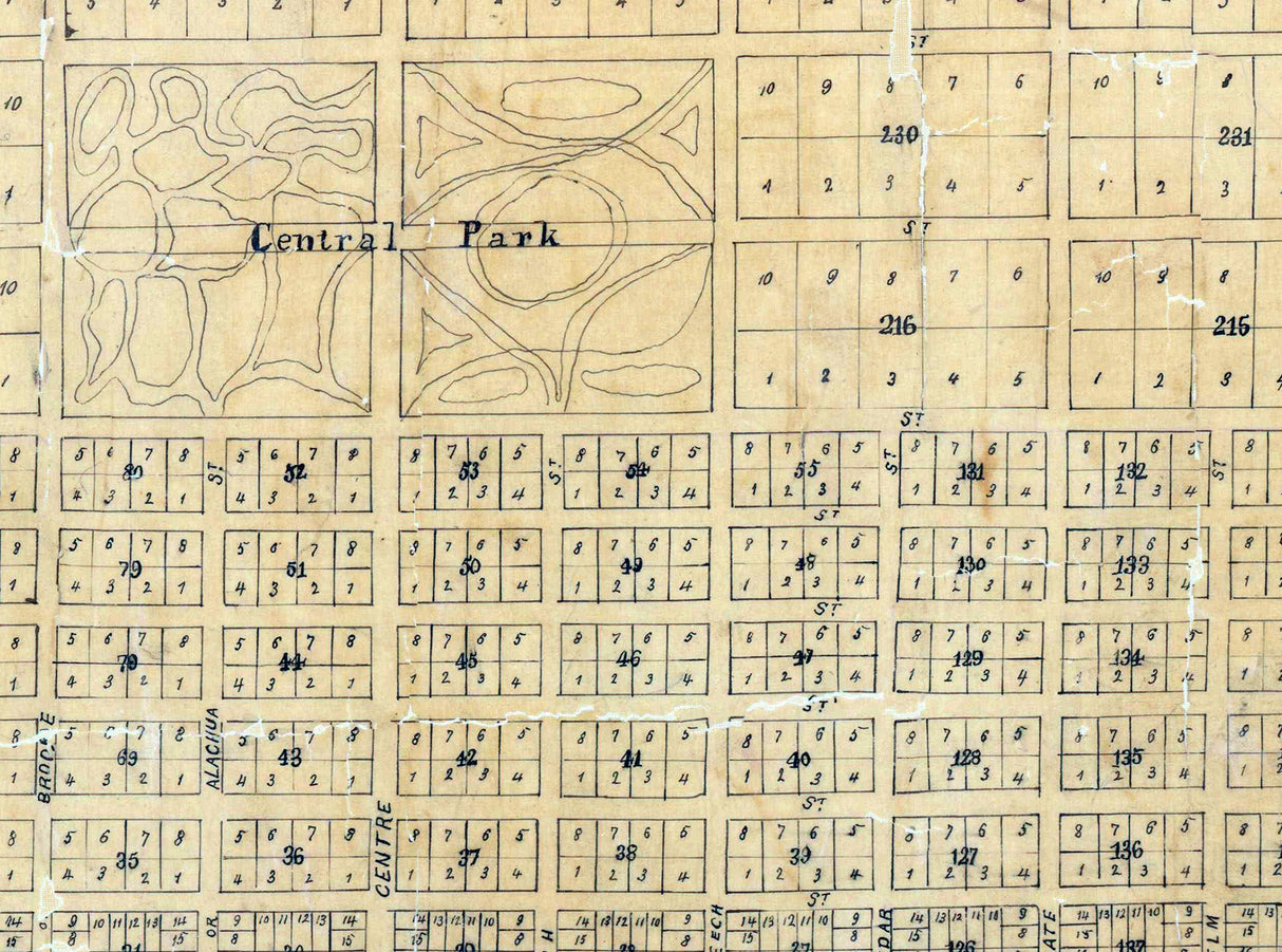 1857 Map of Fernandina Amelia Island Florida