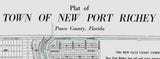 1925 Map of New Port Richey Pasco County Florida